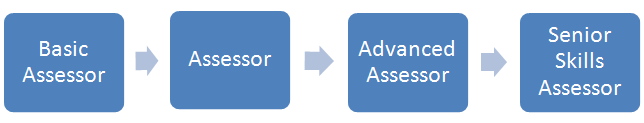 Levels of assessor