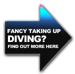 Get into diving