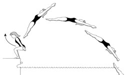 Backward Dive