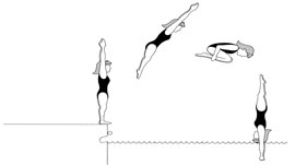 Forward Dive
