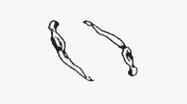 Dolphin Arch