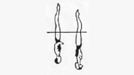 Vertical Position